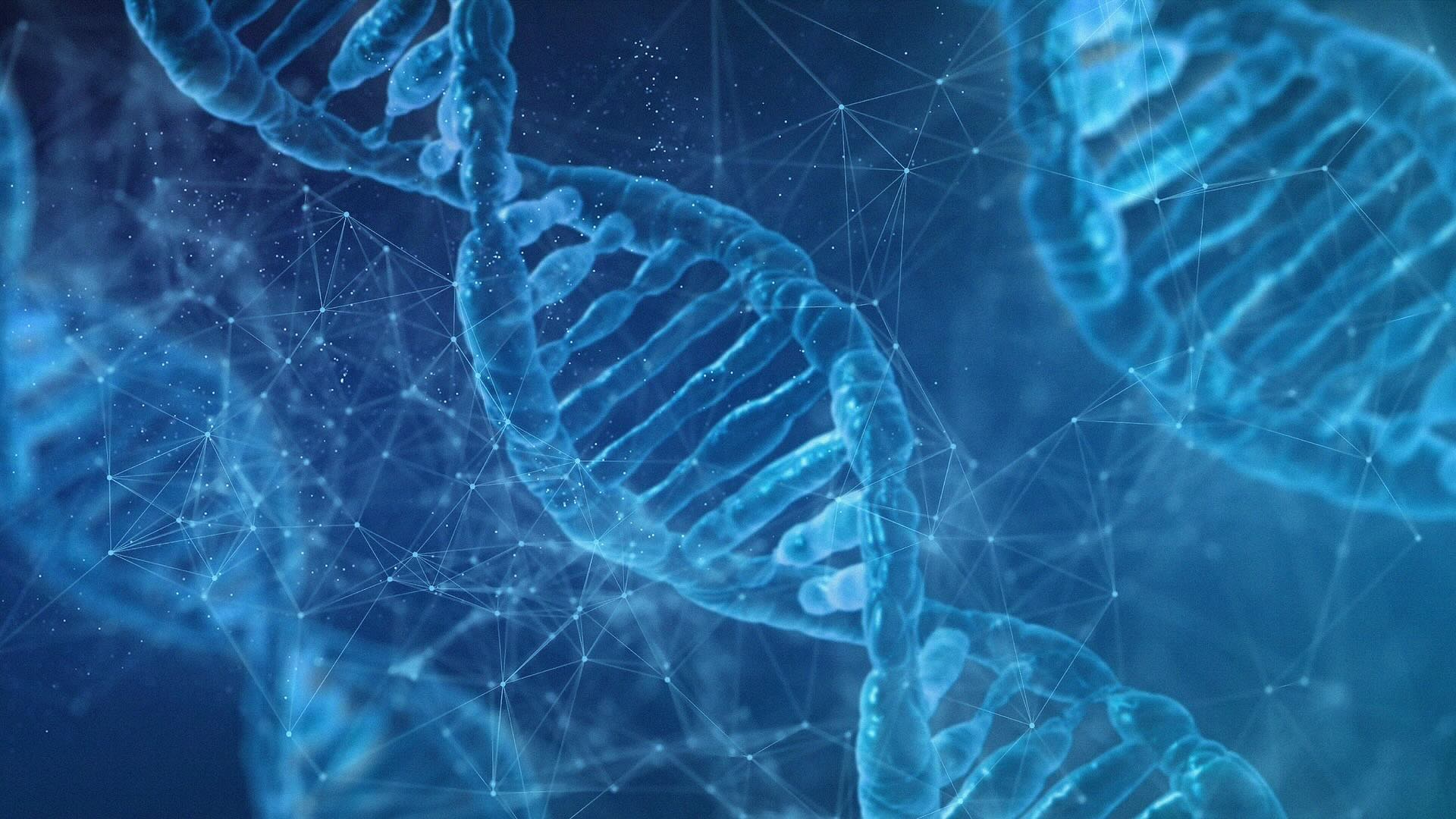 Story DNA